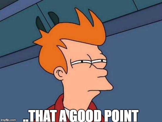 Futurama Fry Meme | ..THAT A GOOD POINT | image tagged in memes,futurama fry | made w/ Imgflip meme maker
