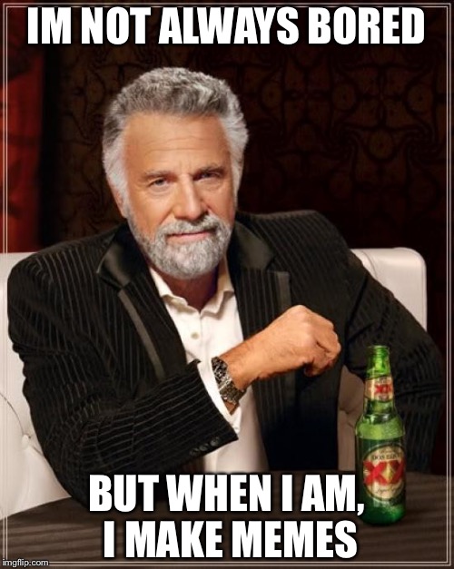 The Most Interesting Man In The World | IM NOT ALWAYS BORED; BUT WHEN I AM, I MAKE MEMES | image tagged in memes,the most interesting man in the world | made w/ Imgflip meme maker