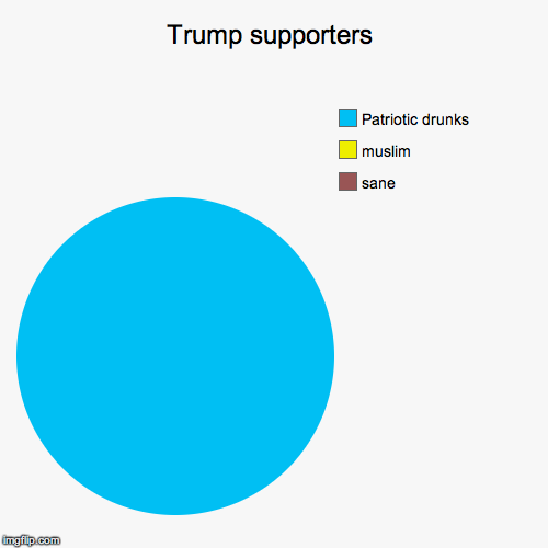 image tagged in funny,pie charts | made w/ Imgflip chart maker