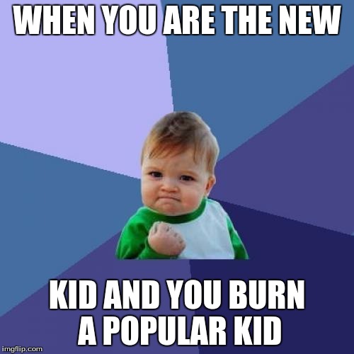 Success Kid | WHEN YOU ARE THE NEW; KID AND YOU BURN A POPULAR KID | image tagged in memes,success kid | made w/ Imgflip meme maker