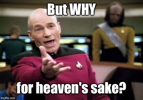 Picard Wtf Meme | But WHY for heaven's sake? | image tagged in memes,picard wtf | made w/ Imgflip meme maker