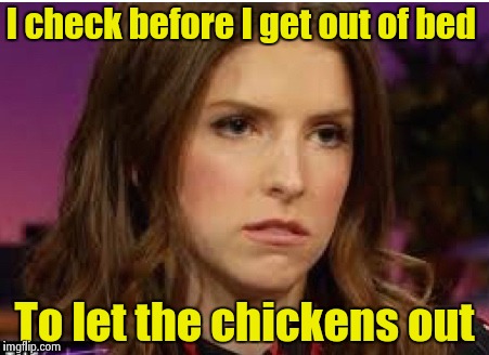 Confession Anna | I check before I get out of bed To let the chickens out | image tagged in confession anna | made w/ Imgflip meme maker