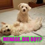 MENAGE..BIG BOY? | made w/ Imgflip meme maker