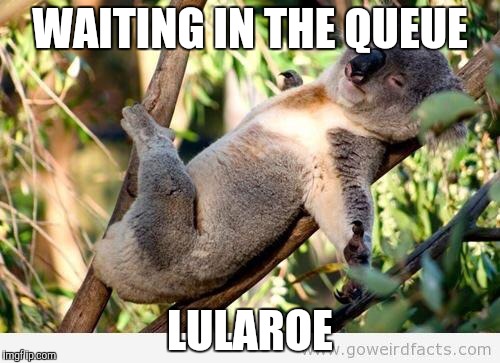 Koalaty | WAITING IN THE QUEUE; LULAROE | image tagged in koalaty | made w/ Imgflip meme maker