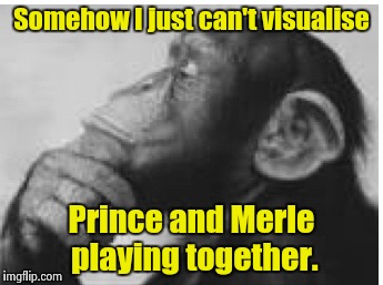 Somehow I just can't visualise Prince and Merle playing together. | made w/ Imgflip meme maker