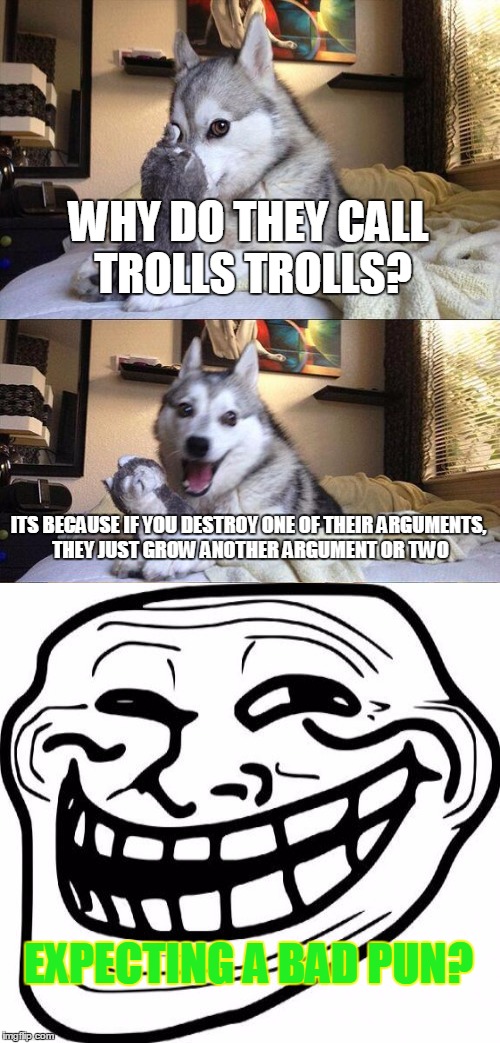 Bad Dog Troll Words Title Random | WHY DO THEY CALL TROLLS TROLLS? ITS BECAUSE IF YOU DESTROY ONE OF THEIR ARGUMENTS, THEY JUST GROW ANOTHER ARGUMENT OR TWO; EXPECTING A BAD PUN? | image tagged in memes,bad pun dog,troll,troll face,funny,dogs | made w/ Imgflip meme maker