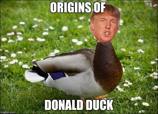 ORIGINS OF; DONALD DUCK | image tagged in xd,scumbag | made w/ Imgflip meme maker