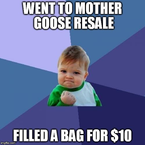 Success Kid | WENT TO MOTHER GOOSE RESALE; FILLED A BAG FOR $10 | image tagged in memes,success kid | made w/ Imgflip meme maker