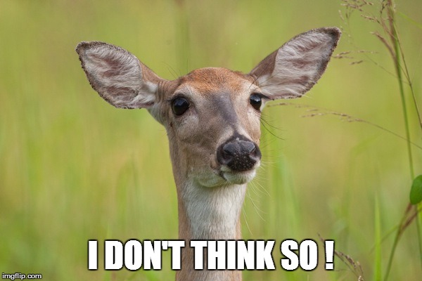 I DON'T THINK SO ! | made w/ Imgflip meme maker