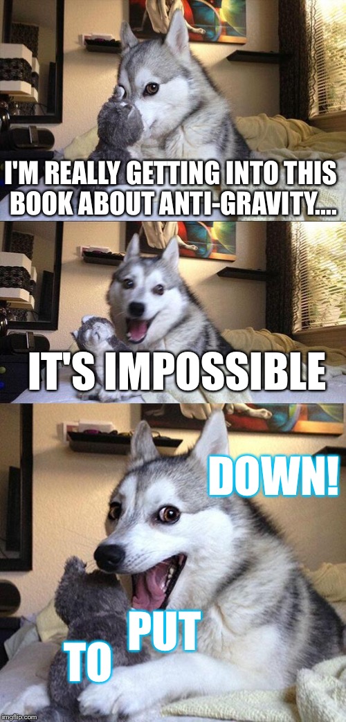 Bad Pun Dog | I'M REALLY GETTING INTO THIS BOOK ABOUT ANTI-GRAVITY.... IT'S IMPOSSIBLE; DOWN! PUT; TO | image tagged in memes,bad pun dog | made w/ Imgflip meme maker