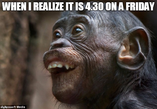When I realize it's Friday | WHEN I REALIZE IT IS 4.30 ON A FRIDAY | image tagged in chimp | made w/ Imgflip meme maker