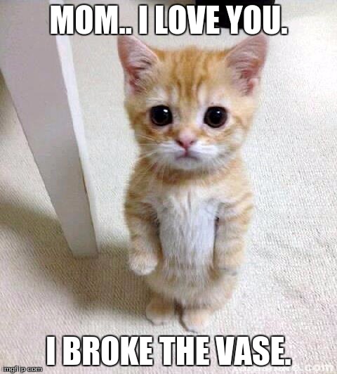 Cute Cat Meme | MOM.. I LOVE YOU. I BROKE THE VASE. | image tagged in memes,cute cat | made w/ Imgflip meme maker
