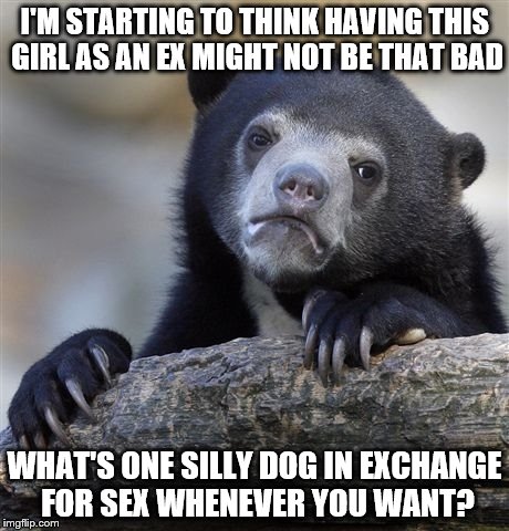 Confession Bear Meme | I'M STARTING TO THINK HAVING THIS GIRL AS AN EX MIGHT NOT BE THAT BAD WHAT'S ONE SILLY DOG IN EXCHANGE FOR SEX WHENEVER YOU WANT? | image tagged in memes,confession bear | made w/ Imgflip meme maker