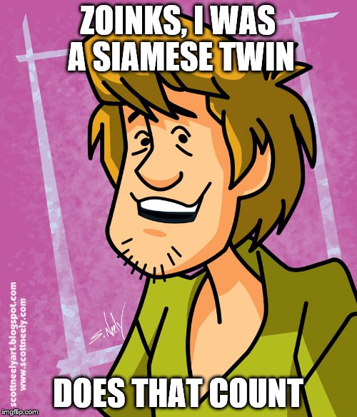 ZOINKS, I WAS A SIAMESE TWIN DOES THAT COUNT | made w/ Imgflip meme maker
