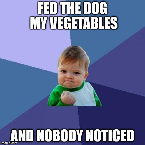 Success Kid | FED THE DOG MY VEGETABLES; AND NOBODY NOTICED | image tagged in memes,success kid | made w/ Imgflip meme maker