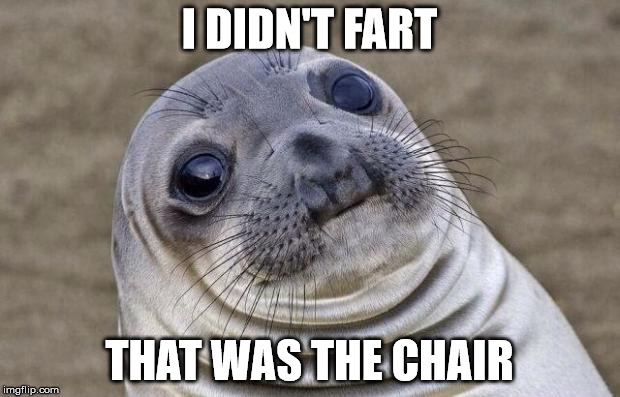 Awkward Moment Sealion | I DIDN'T FART; THAT WAS THE CHAIR | image tagged in memes,awkward moment sealion | made w/ Imgflip meme maker