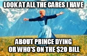 Look At All These Meme | LOOK AT ALL THE CARES I HAVE; ABOUT PRINCE DYING OR WHO'S ON THE $20 BILL | image tagged in memes,look at all these | made w/ Imgflip meme maker