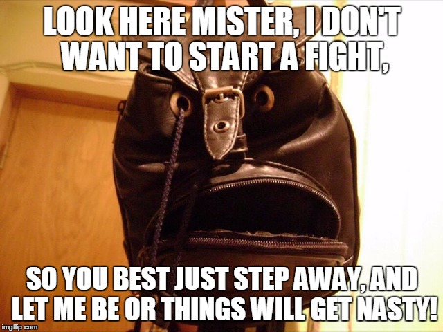 What Are You Looking At? | LOOK HERE MISTER, I DON'T WANT TO START A FIGHT, SO YOU BEST JUST STEP AWAY, AND LET ME BE OR THINGS WILL GET NASTY! | image tagged in what are you looking at,memes,faces,what do you want,funny,do what the bag says | made w/ Imgflip meme maker