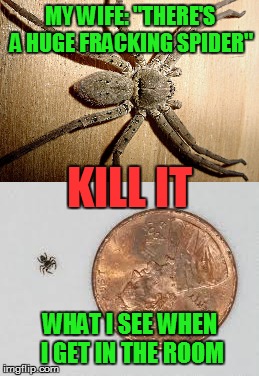 My wife and I see things differently | MY WIFE: "THERE'S A HUGE FRACKING SPIDER"; KILL IT; WHAT I SEE WHEN I GET IN THE ROOM | image tagged in spider,meme,memes | made w/ Imgflip meme maker