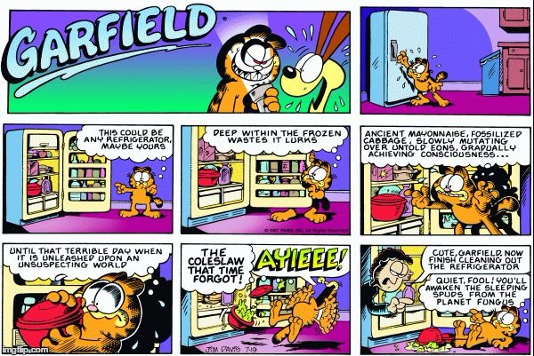 O | image tagged in garfield and the fridge | made w/ Imgflip meme maker