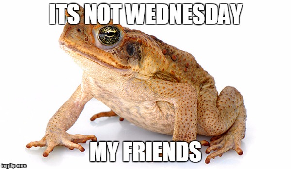 Its not wednesday my friends | ITS NOT WEDNESDAY; MY FRIENDS | image tagged in wednesday,dudes,friends,not,its wednesday my dudes | made w/ Imgflip meme maker