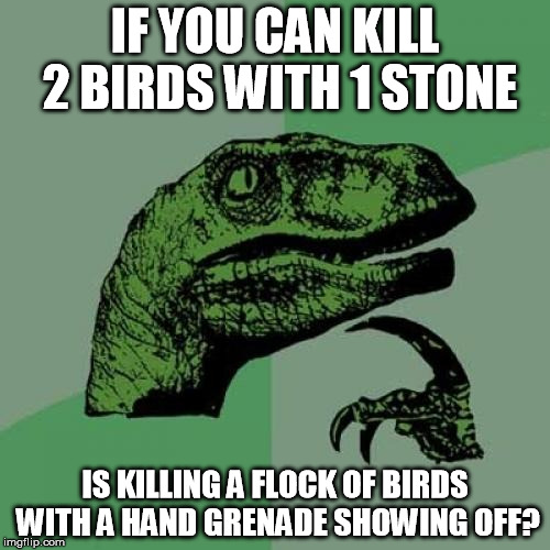 Philosoraptor Meme | IF YOU CAN KILL 2 BIRDS WITH 1 STONE; IS KILLING A FLOCK OF BIRDS WITH A HAND GRENADE SHOWING OFF? | image tagged in memes,philosoraptor | made w/ Imgflip meme maker