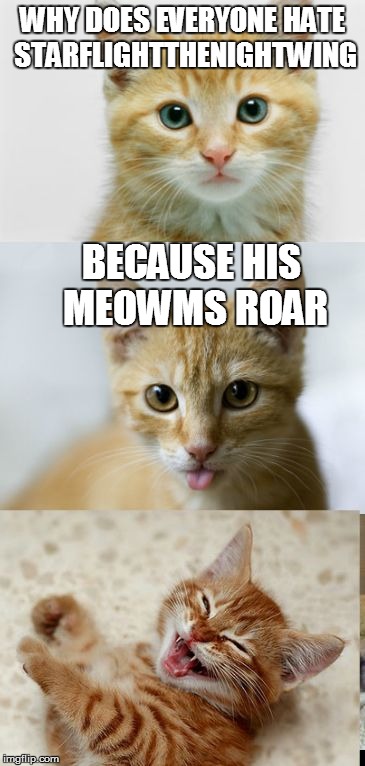 Bad Pun Cat | WHY DOES EVERYONE HATE STARFLIGHTTHENIGHTWING BECAUSE HIS MEOWMS ROAR | image tagged in bad pun cat | made w/ Imgflip meme maker