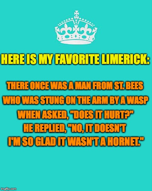 HERE IS MY FAVORITE LIMERICK: I'M SO GLAD IT WASN'T A HORNET." THERE ONCE WAS A MAN FROM ST. BEES WHO WAS STUNG ON THE ARM BY A WASP WHEN AS | made w/ Imgflip meme maker