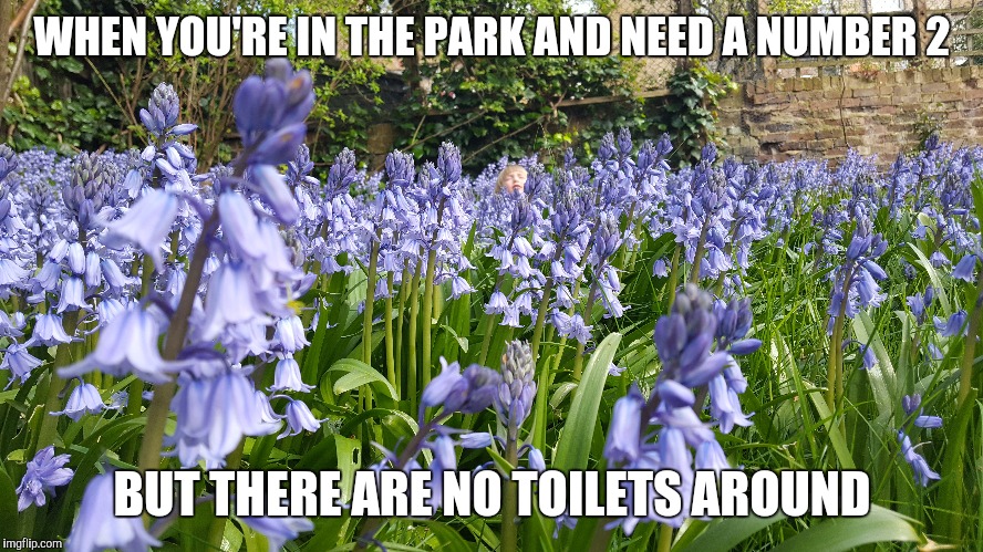When you need a poop at the park... | WHEN YOU'RE IN THE PARK AND NEED A NUMBER 2; BUT THERE ARE NO TOILETS AROUND | image tagged in funny,park,babies,poop,flowers,baby | made w/ Imgflip meme maker