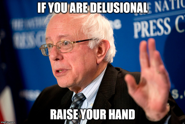 Bernie Sanders | IF YOU ARE DELUSIONAL; RAISE YOUR HAND | image tagged in sanders | made w/ Imgflip meme maker