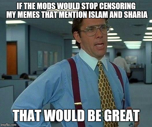 "Empowering creativity"...for liberals  | IF THE MODS WOULD STOP CENSORING MY MEMES THAT MENTION ISLAM AND SHARIA; THAT WOULD BE GREAT | image tagged in memes,that would be great | made w/ Imgflip meme maker