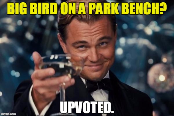 Leonardo Dicaprio Cheers Meme | BIG BIRD ON A PARK BENCH? UPVOTED. | image tagged in memes,leonardo dicaprio cheers | made w/ Imgflip meme maker
