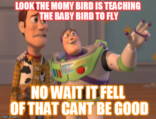X, X Everywhere Meme | LOOK THE MOMY BIRD IS TEACHING THE BABY BIRD TO FLY; NO WAIT IT FELL OF THAT CANT BE GOOD | image tagged in memes,x x everywhere | made w/ Imgflip meme maker