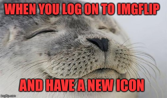 That Feels Nice, Oh Yeah  | WHEN YOU LOG ON TO IMGFLIP; AND HAVE A NEW ICON | image tagged in whoot whoot,memes,lol,satisfied seal | made w/ Imgflip meme maker