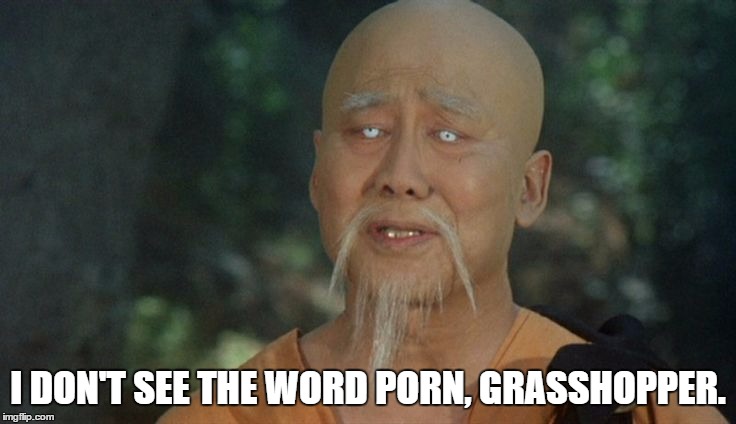 I DON'T SEE THE WORD PORN, GRASSHOPPER. | made w/ Imgflip meme maker