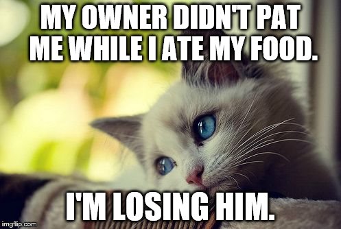 First World Problems Cat | MY OWNER DIDN'T PAT ME WHILE I ATE MY FOOD. I'M LOSING HIM. | image tagged in memes,first world problems cat | made w/ Imgflip meme maker