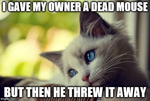 First World Problems Cat | I GAVE MY OWNER A DEAD MOUSE; BUT THEN HE THREW IT AWAY | image tagged in memes,first world problems cat | made w/ Imgflip meme maker