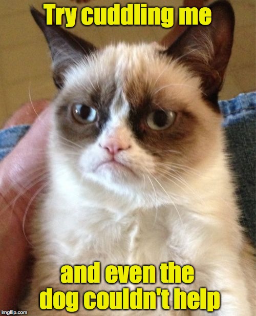 Grumpy Cat Meme | Try cuddling me and even the dog couldn't help | image tagged in memes,grumpy cat | made w/ Imgflip meme maker