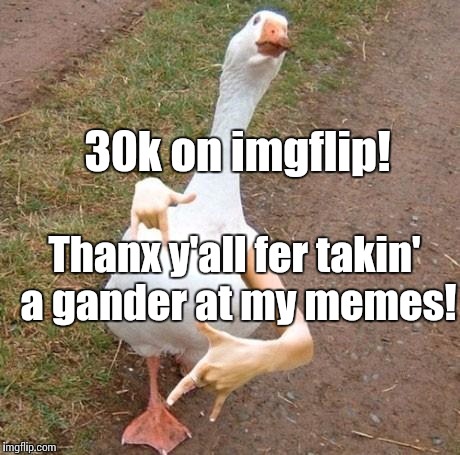 swagger goose | 30k on imgflip! Thanx y'all fer takin' a gander at my memes! | image tagged in swagger goose | made w/ Imgflip meme maker