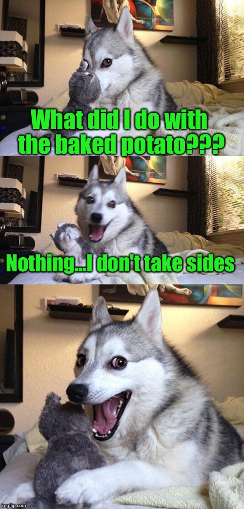 Totally neutral bad pun dog  | What did I do with the baked potato??? Nothing...I don't take sides | image tagged in memes,bad pun dog | made w/ Imgflip meme maker