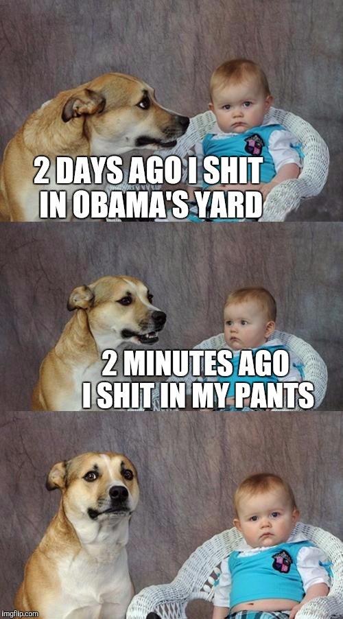 Dad Joke Dog Meme | 2 DAYS AGO I SHIT IN OBAMA'S YARD; 2 MINUTES AGO I SHIT IN MY PANTS | image tagged in memes,dad joke dog | made w/ Imgflip meme maker