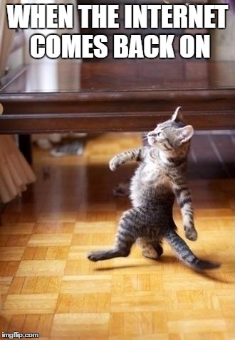Cool Cat Stroll | WHEN THE INTERNET COMES BACK ON | image tagged in memes,cool cat stroll | made w/ Imgflip meme maker