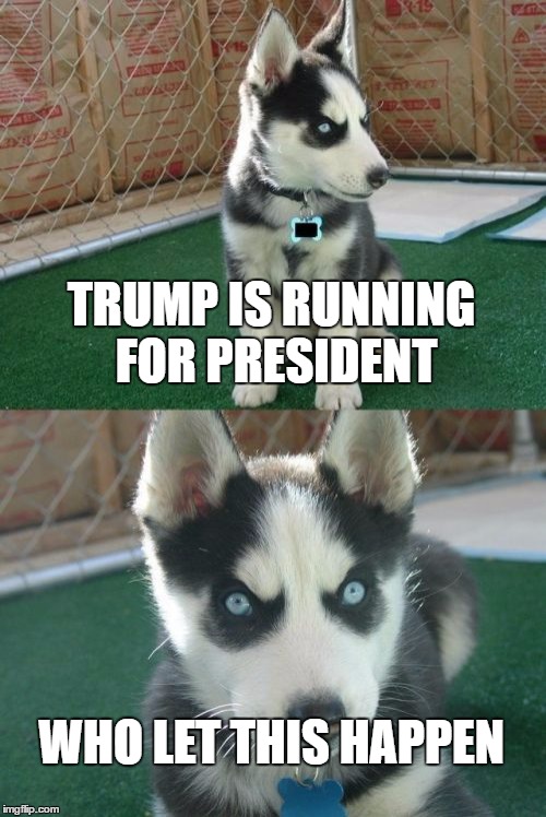 Insanity Puppy | TRUMP IS RUNNING FOR PRESIDENT; WHO LET THIS HAPPEN | image tagged in memes,insanity puppy | made w/ Imgflip meme maker