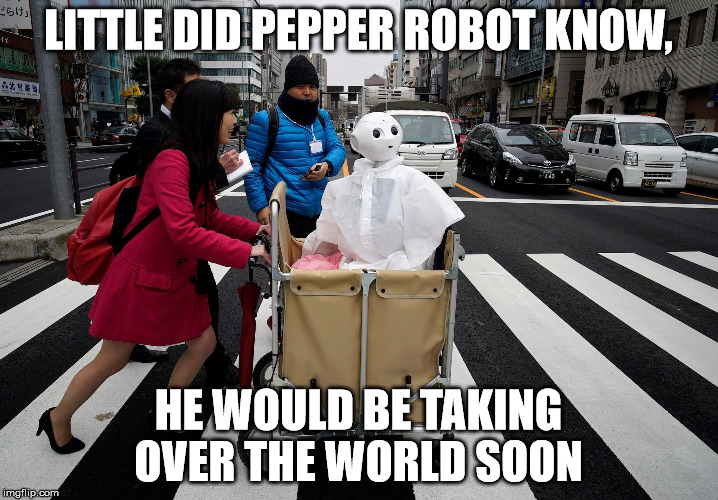 is this my world? | LITTLE DID PEPPER ROBOT KNOW, HE WOULD BE TAKING OVER THE WORLD SOON | image tagged in robot pepper | made w/ Imgflip meme maker