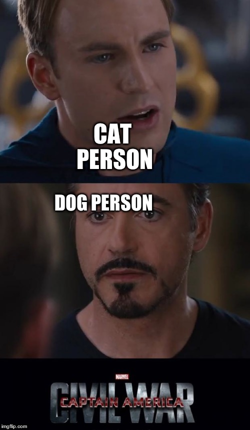 Marvel Civil War | CAT PERSON; DOG PERSON | image tagged in memes,marvel civil war | made w/ Imgflip meme maker