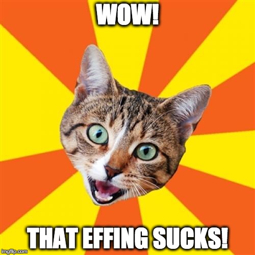 Bad Advice Cat | WOW! THAT EFFING SUCKS! | image tagged in memes,bad advice cat | made w/ Imgflip meme maker