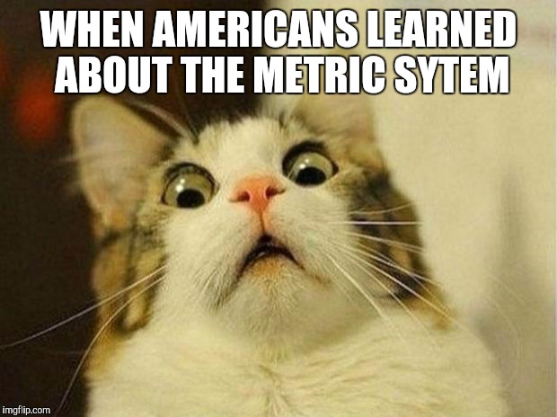 Scared Cat Meme | WHEN AMERICANS LEARNED ABOUT THE METRIC SYTEM | image tagged in memes,scared cat | made w/ Imgflip meme maker