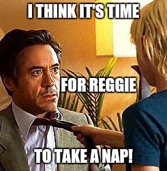 I THINK IT'S TIME; FOR REGGIE; TO TAKE A NAP! | image tagged in time for reggie to take a nap | made w/ Imgflip meme maker