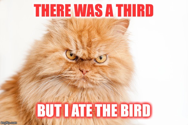 THERE WAS A THIRD BUT I ATE THE BIRD | made w/ Imgflip meme maker