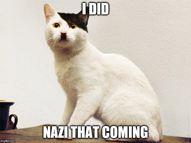 I DID NAZI THAT COMING | image tagged in kitler | made w/ Imgflip meme maker